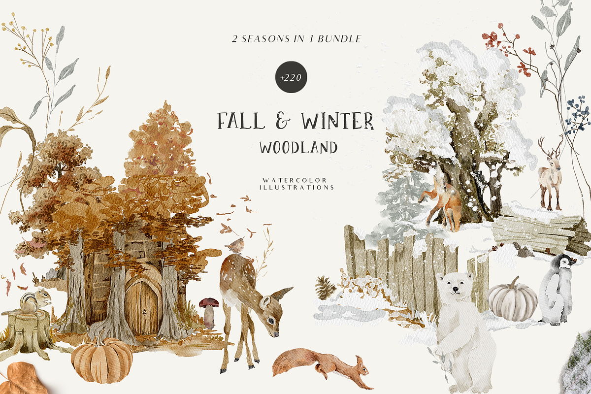 Fall & Winter Woodland Animals set, an Animal Illustration by Grace Noboa Illustrations (Photo 1 of 17)
