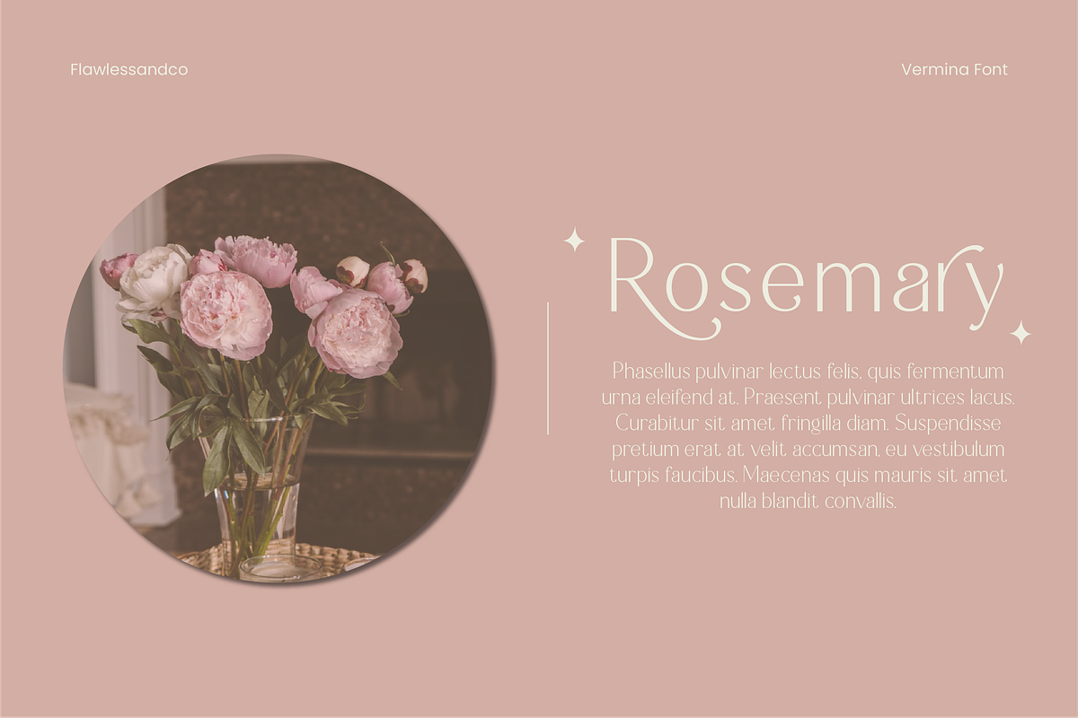 Vermina - Alternate Sans Serif, a Sans Serif Font by Flawless And Co (Photo 7 of 10)