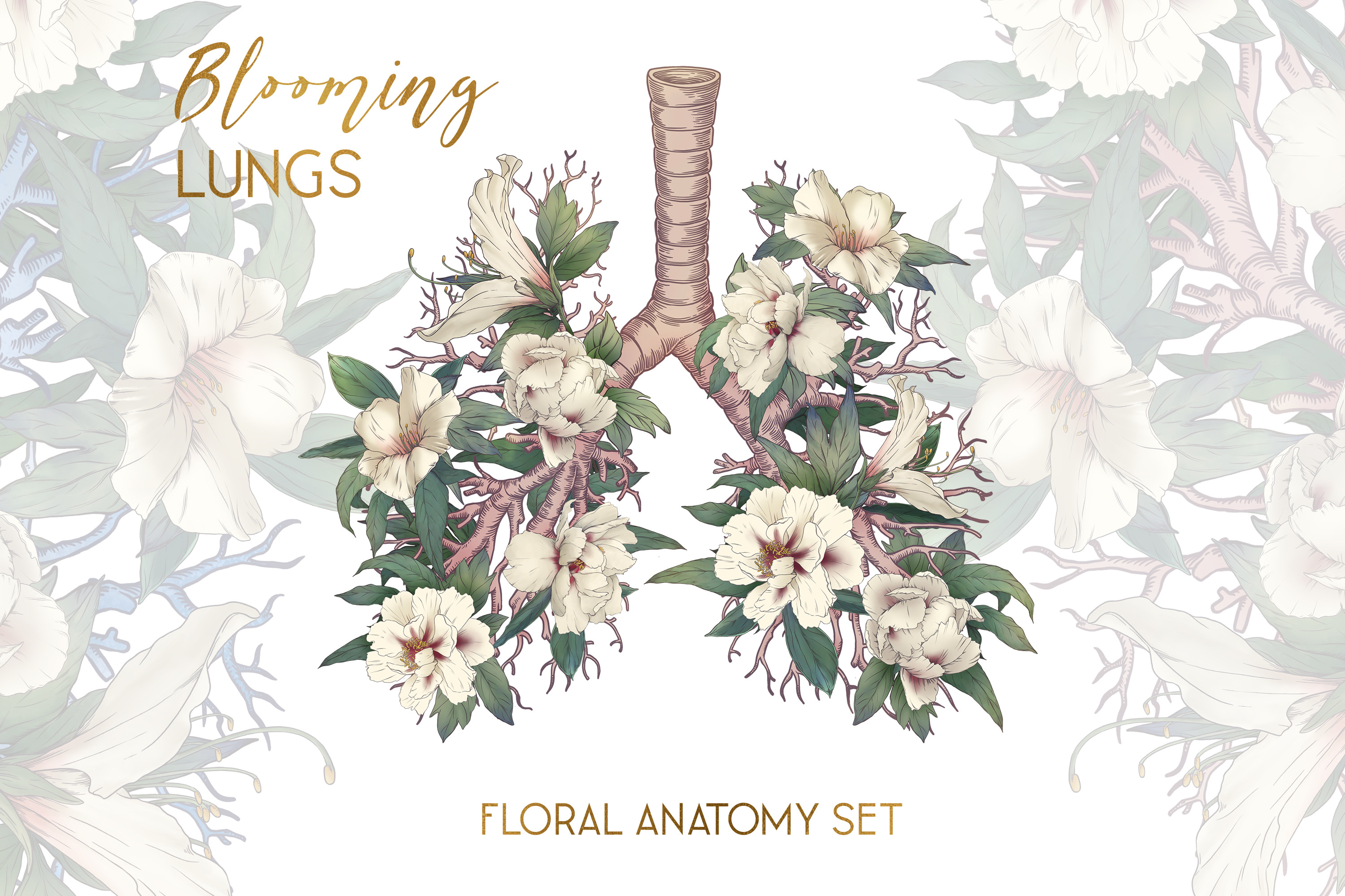 Floral Human Lungs Anatomy Clipart, a Healthcare Illustration by ...