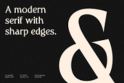 CS Gomez – Modern Serif Font, a Serif Font by Craft Supply Co. (Thumbnail 5 of 8)