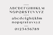 Prime Brand – Elegant Display Font, a Serif Font by Yukita Creative (Thumbnail 6 of 8)