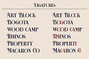 HST - Vermiga del Rose, a Serif Font by ilhamtaro (Thumbnail 10 of 10)