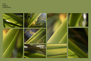 Natural textures - Green edition v02, a Texture Graphic by Haehae photography (Thumbnail 3 of 7)