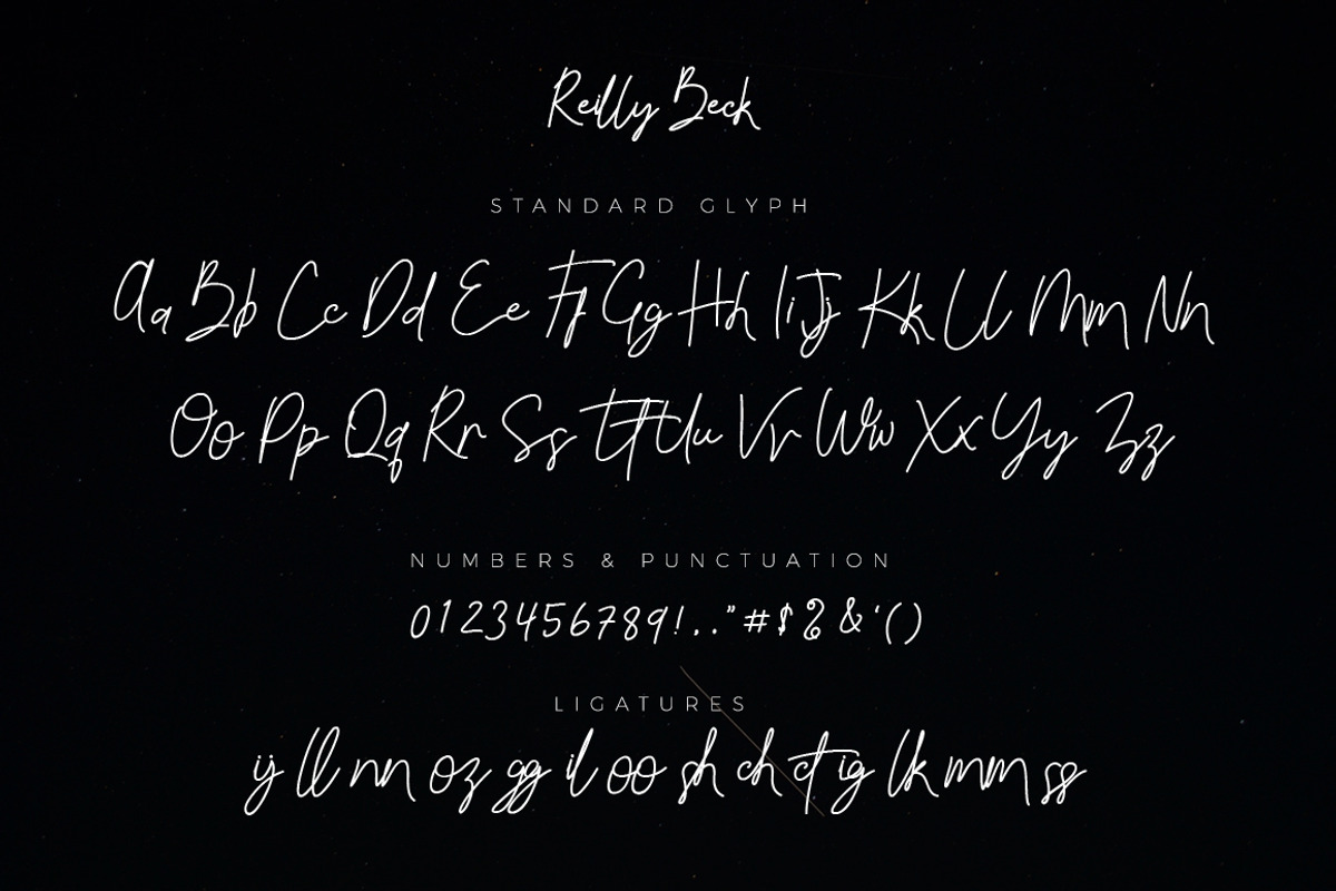 Reilly Beck - Signature Font preview 6