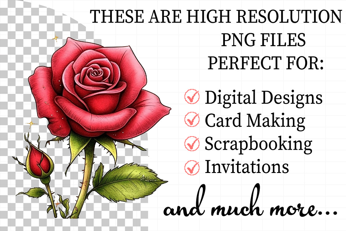Romantic Roses Valentine's Day Clipa, an Illustration by Daily.Designs (Photo 2 of 5)