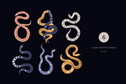 Modern snakes & Floral set., an Object Graphic by Alona Savchuk (Thumbnail 5 of 14)