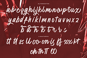 Gentham - Handwritten Script, a Script Font by Lettermine (Thumbnail 8 of 10)