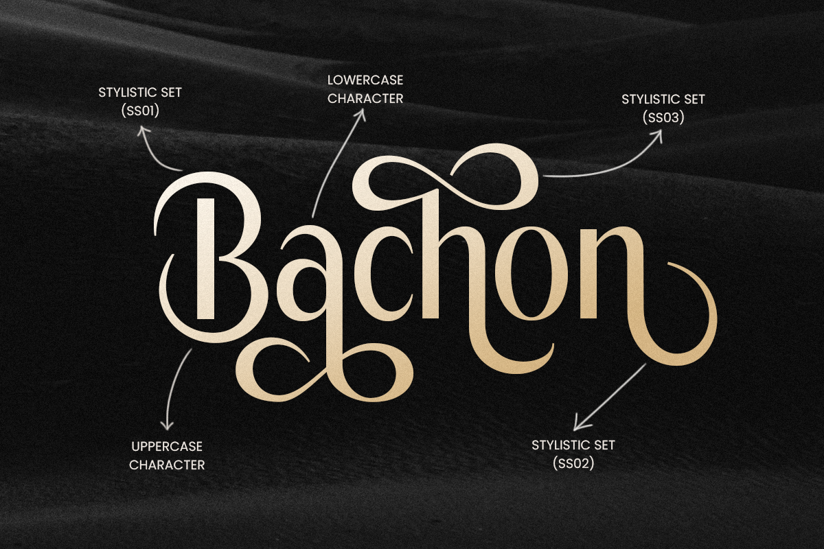 Bachon - Luxury Elegant Font, a Sans Serif Font by Sensatype (Photo 8 of 14)