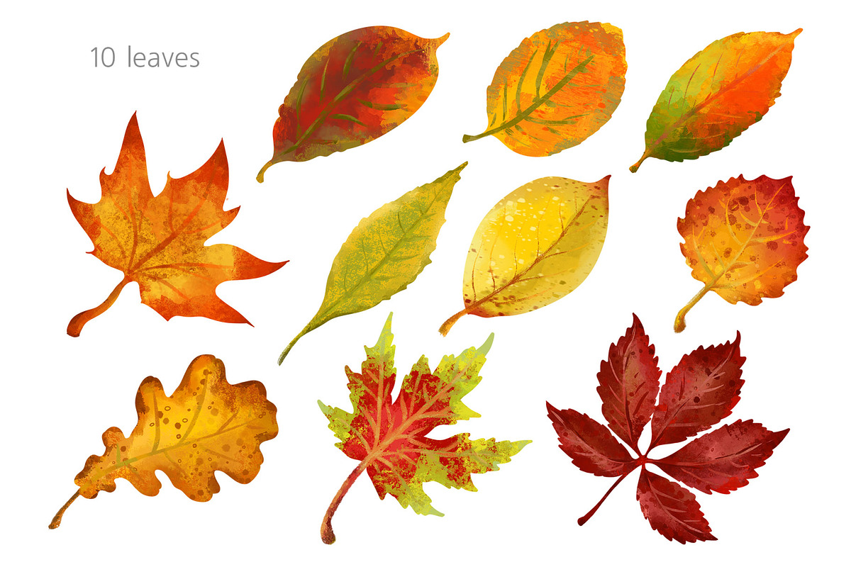 Fall leaves png clipart, an Illustration by PinskaDrawCute (Photo 3 of 6)