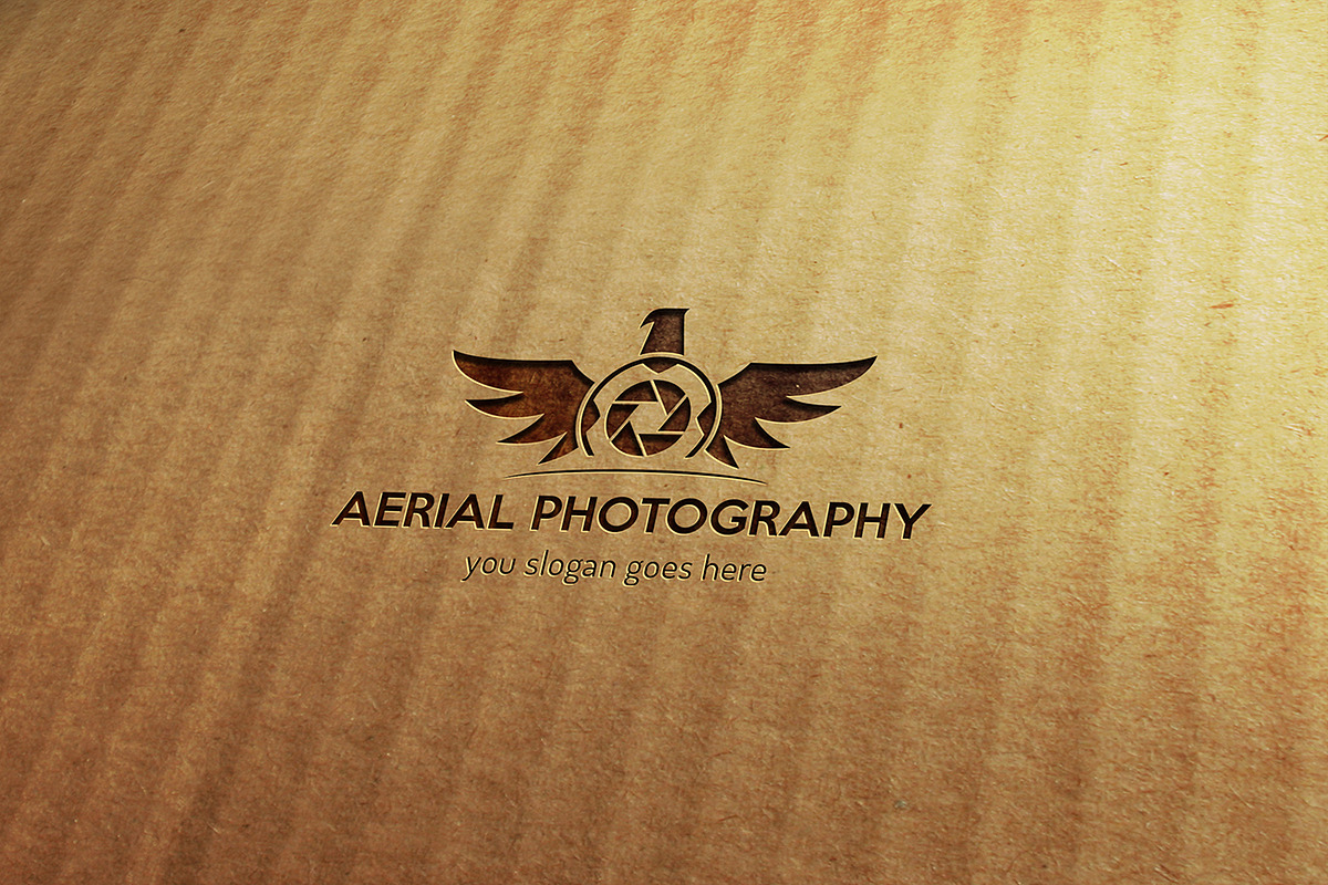 Aerial Photography Logo, a Branding & Logo Template by GladicMonster (Photo 2 of 8)