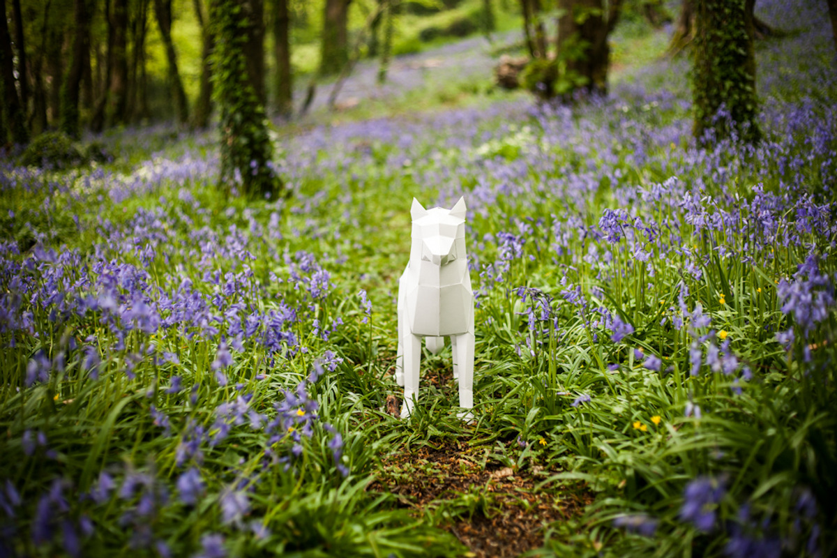 3D Wolf/Dog Papercraft, a Templates & Theme by PaperPetShop (Photo 2 of 4)