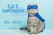 Cat in a superhero costume, an Animal Photo by AnStore (Thumbnail 1 of 3)