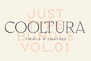 Just Type Bundle Vol.01 - 300 fonts, a Serif Font by VP Fonts (Thumbnail 2 of 19)