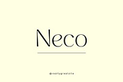 Neko Font, a Serif Font by RAHMAT (Thumbnail 3 of 5)