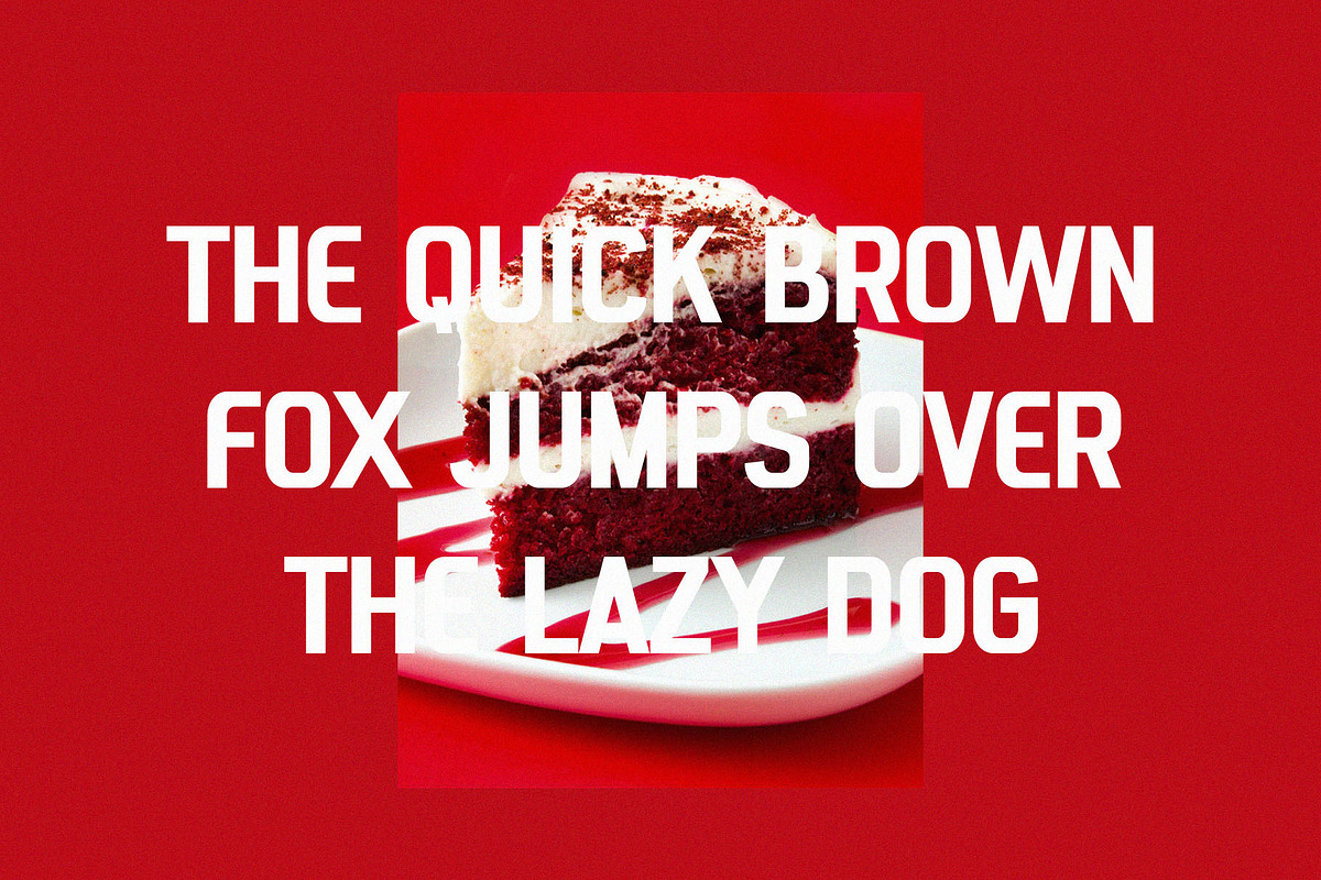 Polling - Modern Sans Serif, a Sans Serif Font by Typeformers (Photo 2 of 5)