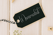 Elegant Magnolia, a Handwritten Font by FreshTypeINK (Thumbnail 3 of 8)