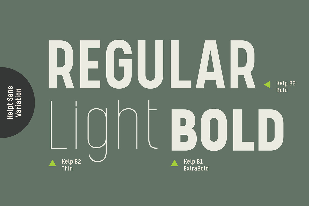Kelpt Sans, a Sans Serif Font by Typesketchbook Foundry (Photo 6 of 7)