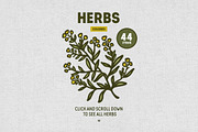 Herbs Collection, a Food Illustration by Chelovector (Thumbnail 2 of 4)