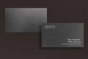 OV Cotin Serif Font Family, a Serif Font by OV Type (Thumbnail 8 of 16)