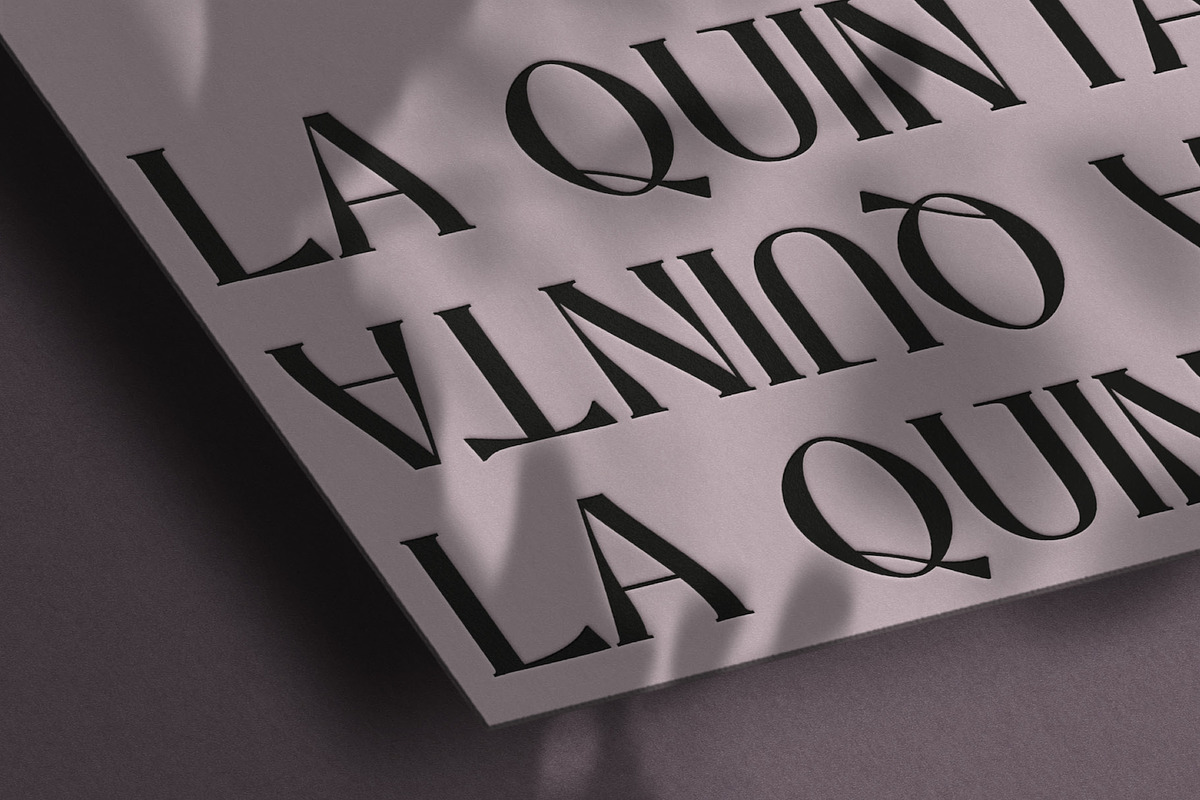 Mia Culver – Cool Display Serif, a Serif Font by Local Desk Designstudio (Photo 19 of 24)