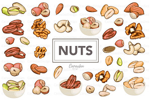 Nuts Collection, a Food Illustration by Serghei Caraulan