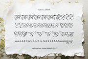 Alventary | Classic Elegant Script, a Script Font by gracetype_studio (Thumbnail 11 of 12)
