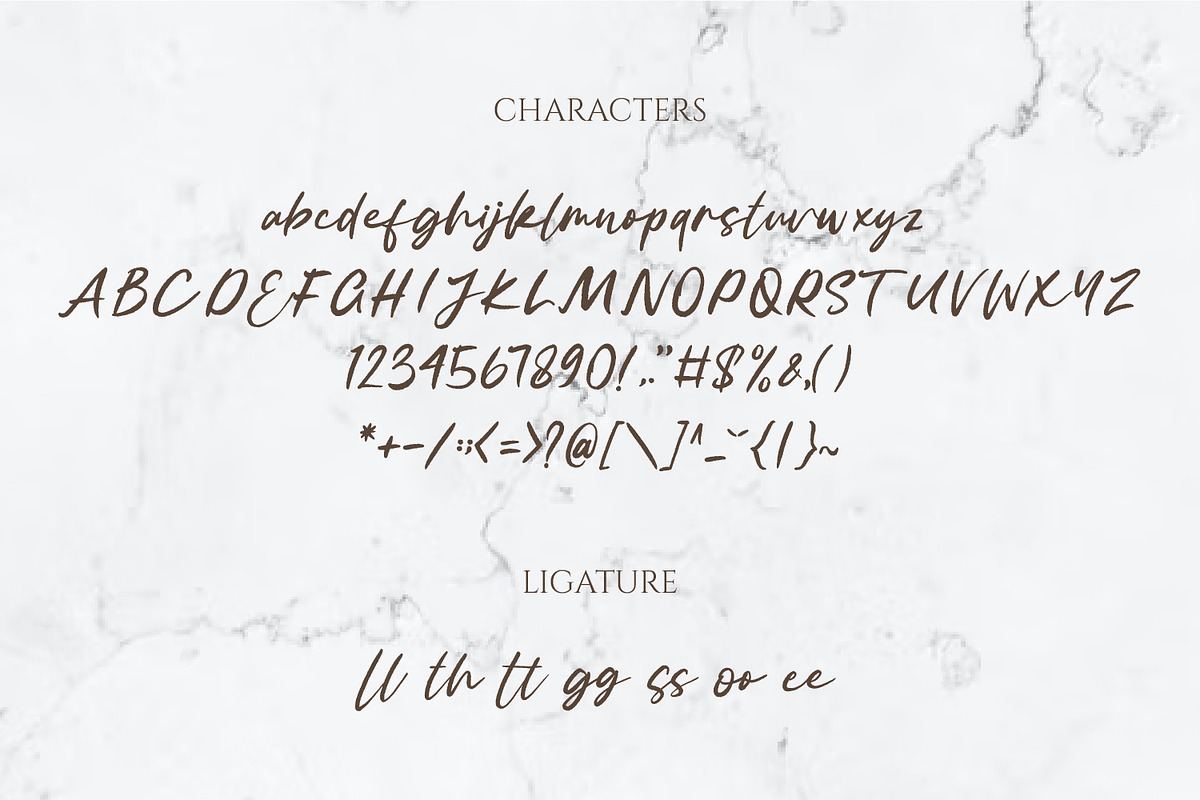 Scriptura Handwritten Signature, a Handwritten Font by TrimStudio (Photo 12 of 12)