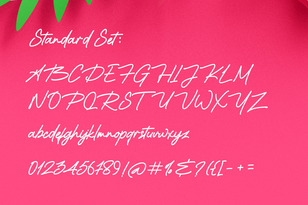 The Shensie, a Script Font by Soft Creative (Photo 10 of 10)
