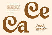 Sayin Cherik Vintage Serif Font, a Serif Font by timelesstype.co (Thumbnail 11 of 15)