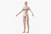 Natural Female 01 A-Pose Base Mesh, a Characters & Person 3D Model by VK Studio (Thumbnail 1 of 26)
