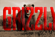Grizzly 0116 Display Typeface, a Font by Eargle Design, LLC (Thumbnail 3 of 3)