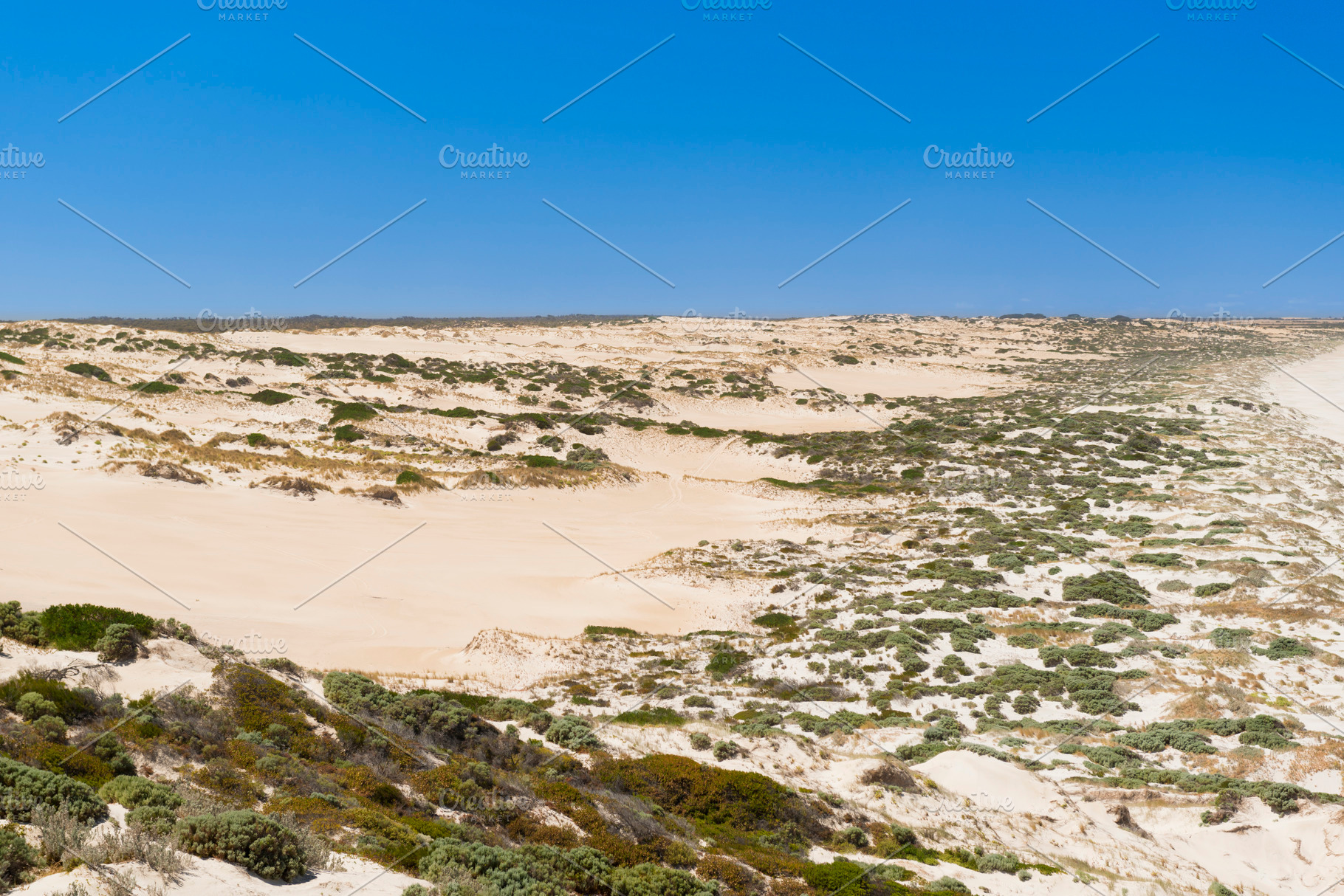 Coastal Sand Dunes, a Nature Photo by THP Creative
