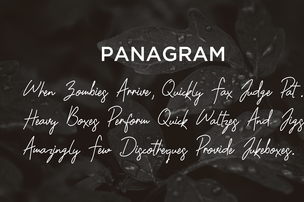 Shantty - Signature Font, a Script Font by Visuallay (Photo 6 of 6)