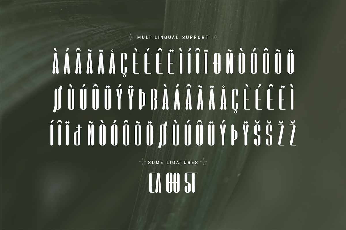 Floresta-Modern Sans Serif Typeface, a Sans Serif Font by overlaytemplates (Photo 5 of 5)