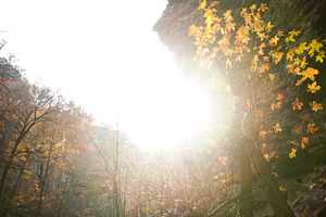 Autumn sun containing rock, cliff, and tree
