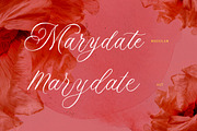 The Marydate - Organic Calligraphy, a Script Font by Letterhend Studio (Thumbnail 5 of 9)