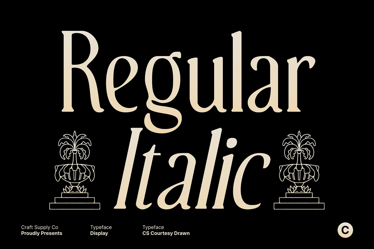 CS Courtesy Drawn, a Serif Font by Craft Supply Co. (Photo 2 of 8)