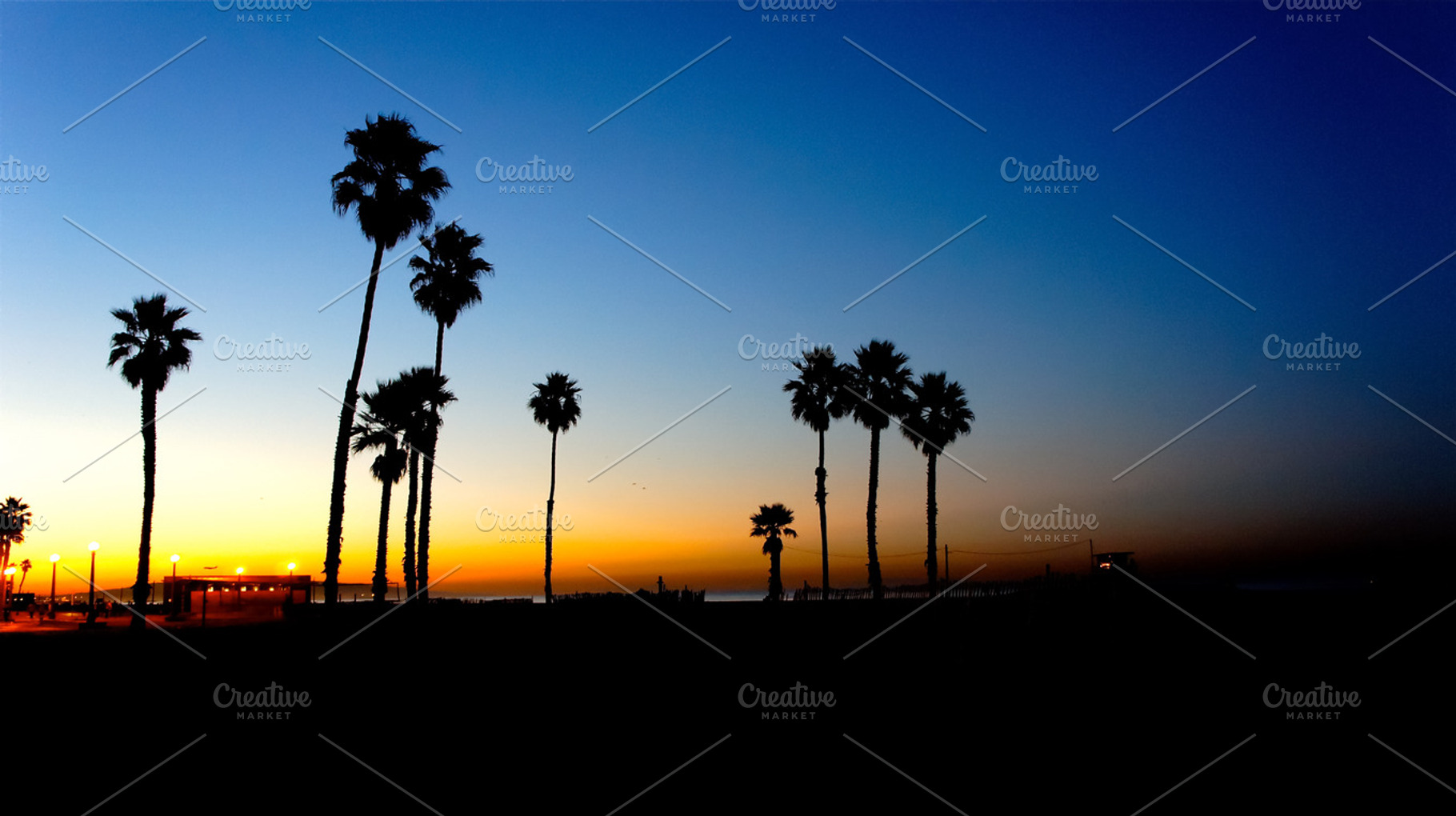 Sunbreak Beach Palms