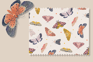 Delicate Butterfly Patterns