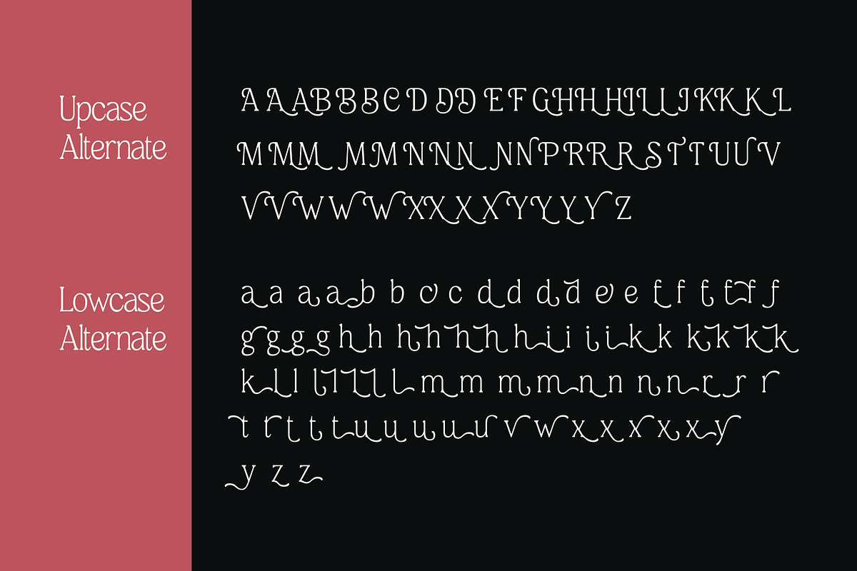 Meaty Nineties - Modern Retro, a Serif Font by Holyline Design (Photo 13 of 15)