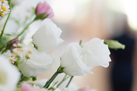 Wedding molfetta stock picture preview 6