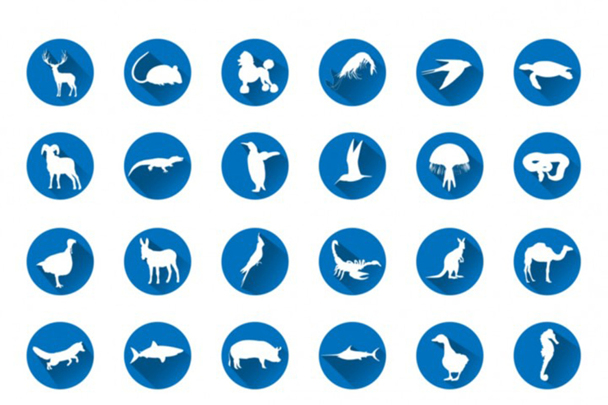 56 Animal Silhouettes Icon Set, an Icon by Vintage Font Lab (Photo 3 of 4)