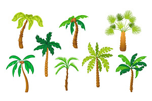 Cartoon Palm Tree. Flat Coconut