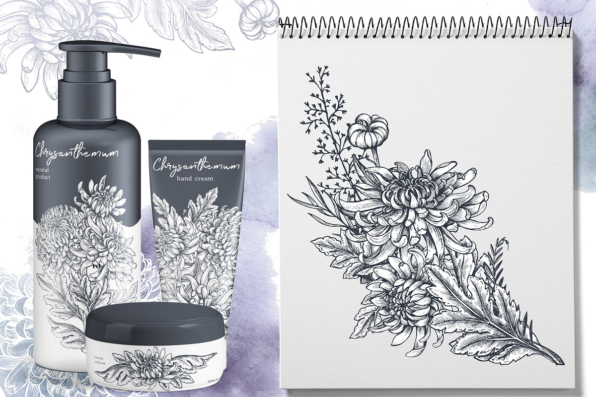 Chrysanthemum vector set, a Decorative Illustration by Molly art (Photo 3 of 11)