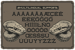 Tailface Vintage Layered Font