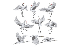 Set of white cranes in different, an Animal Illustration by Sabelskaya