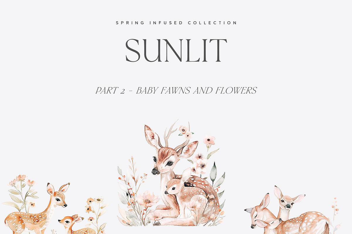 Sunlit - Spring Library, a Seasonal Illustration by Isabelle Salem (Photo 9 of 13)