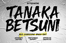 Tanaka Betsuni Bold Aggressive Brush