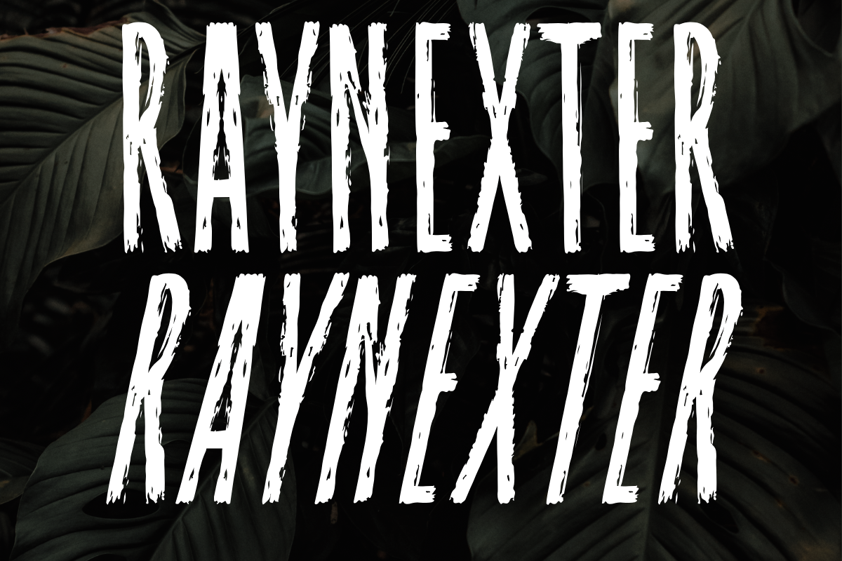 Raynexter – Condensed Brush Font, a Sans Serif Font by Fikryal Studio (Photo 8 of 11)