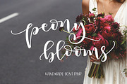 Peony Blooms Font Duo, a Script Font by Emily Spadoni (Thumbnail 1 of 14)